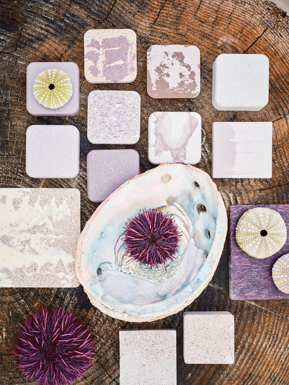 Meet the People Turning Sea Urchins into Sustainable and Super Stylish Tile