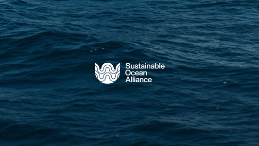 Why Sustainable Ocean Alliance Invested in Primitives