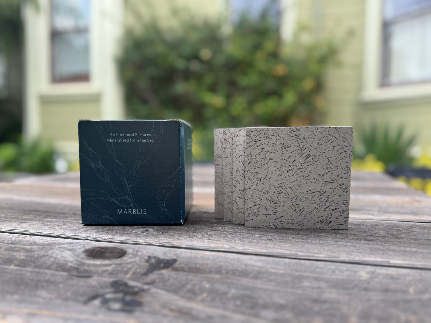 URCHINITE COASTER SET