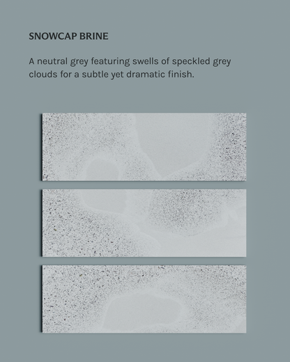 SAMPLE - SNOWCAP BRINE