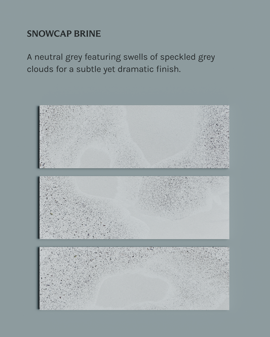 SAMPLE - SNOWCAP BRINE