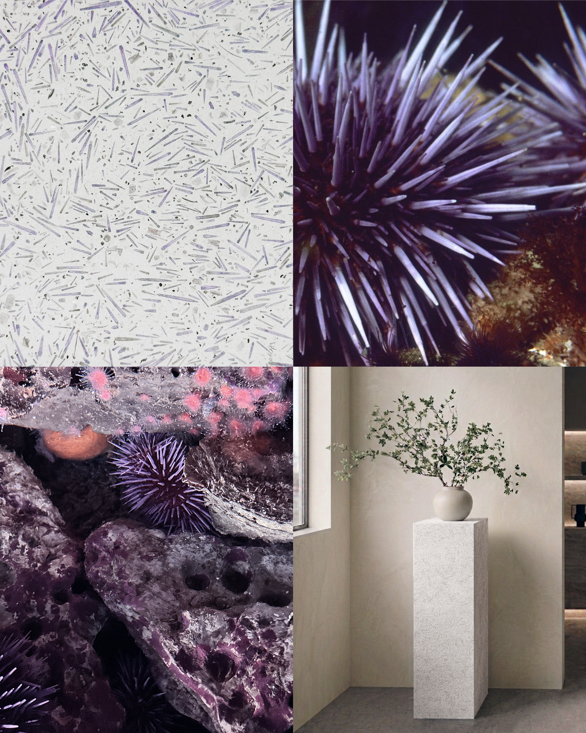 SAMPLE - UNIFETTI
