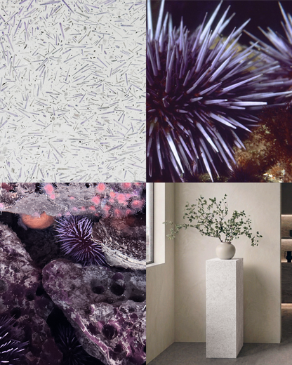 SAMPLE - UNIFETTI